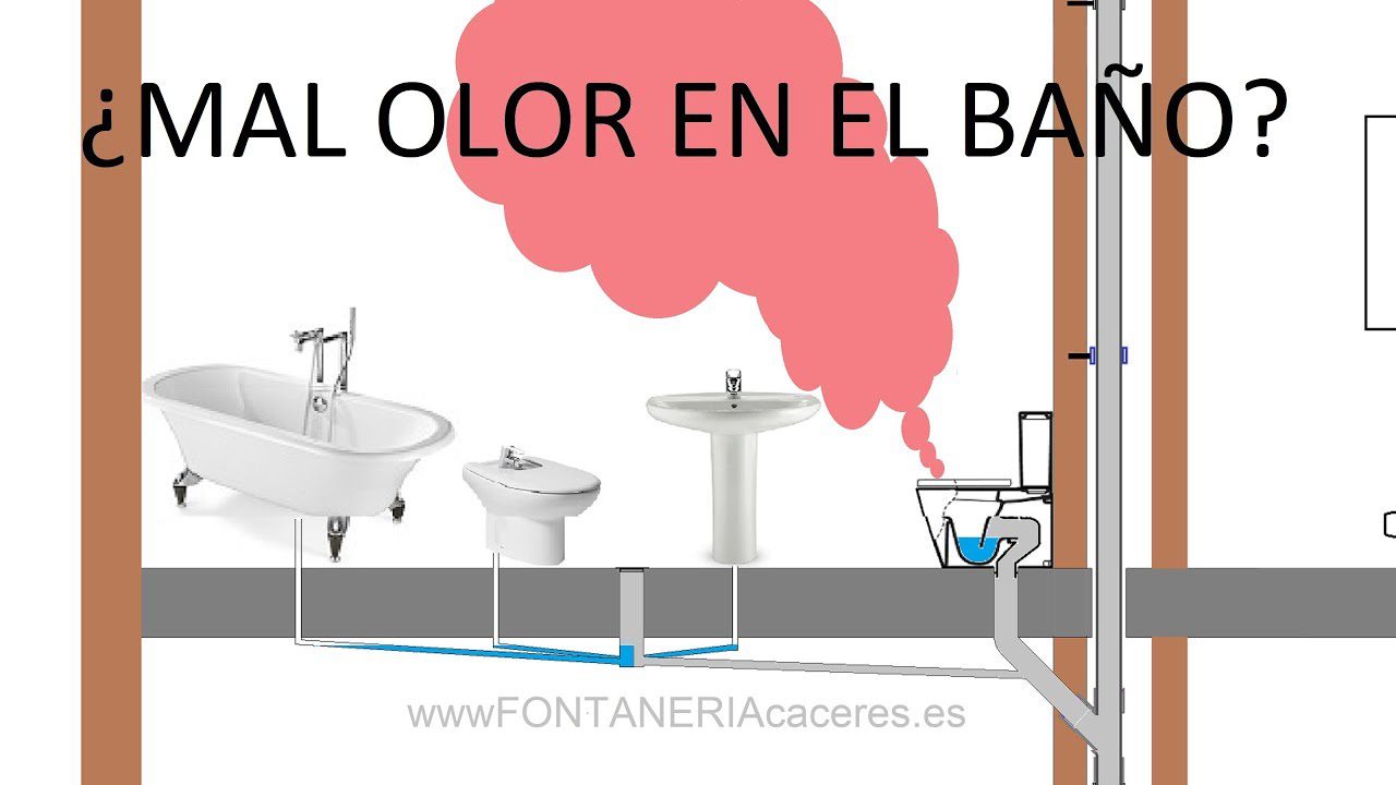 ¿Por qué el inodoro se queda sin agua y huele mal? ️